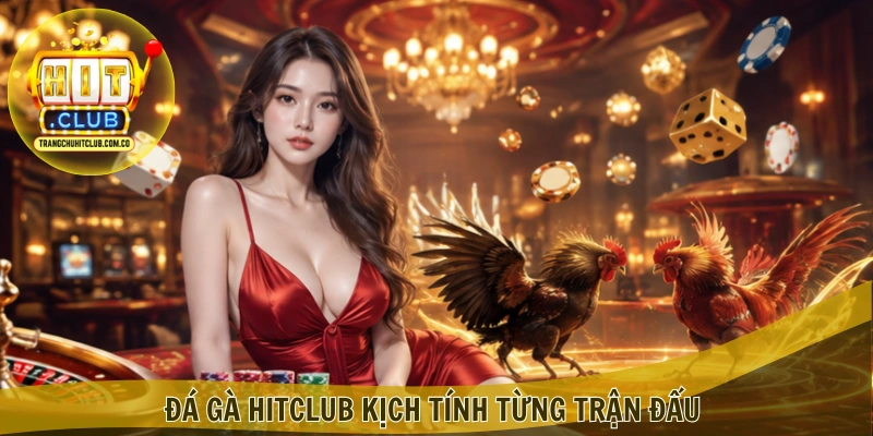 Đá gà HITCLUB kịch tính từng trận đấu