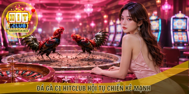 Đá gà C1 HITCLUB – Theo dõi trận đấu đỉnh cao tại HITCLUB 3 Đá gà C1 HITCLUB hội tụ chiến kê mạnh