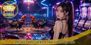 Đá gà C1 HITCLUB kịch tính từng trận đấu