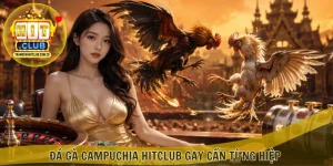 Đá gà Campuchia HITCLUB gay cấn từng hiệp