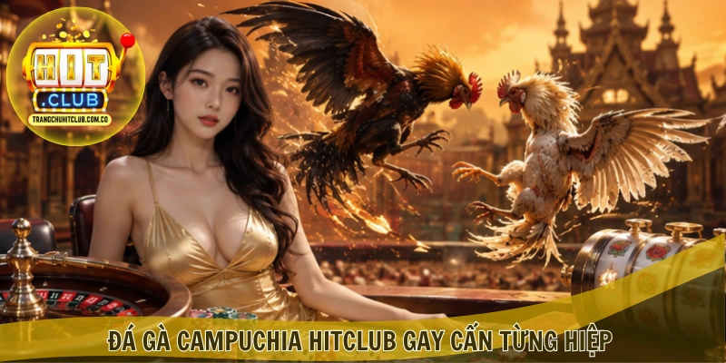 Đá gà Campuchia HITCLUB: Luật chơi và cơ chế trận đấu 1 Đá gà Campuchia HITCLUB gay cấn từng hiệp