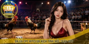 Đá gà CPC HITCLUB kịch tính mỗi trận đấu