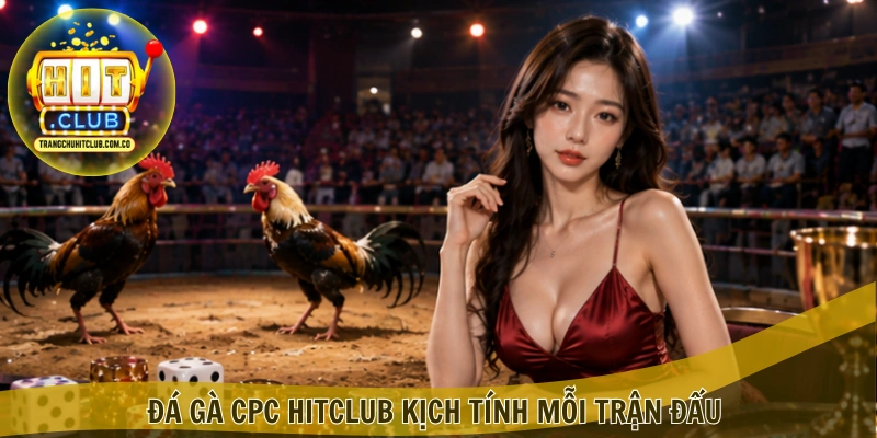 Đá gà CPC HITCLUB – Trải nghiệm kèo đấu hấp dẫn 1 Đá gà CPC HITCLUB kịch tính mỗi trận đấu