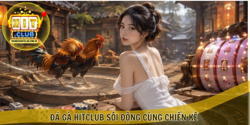 Đá gà HITCLUB sôi động cùng chiến kê