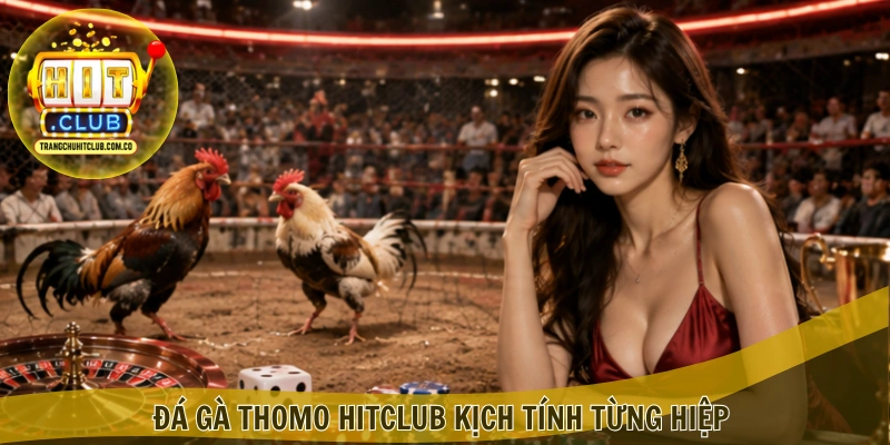 Đá gà Thomo HITCLUB – Trải Nghiệm Trận Đấu Hấp Dẫn 1 Đá gà Thomo HITCLUB kịch tính từng hiệp