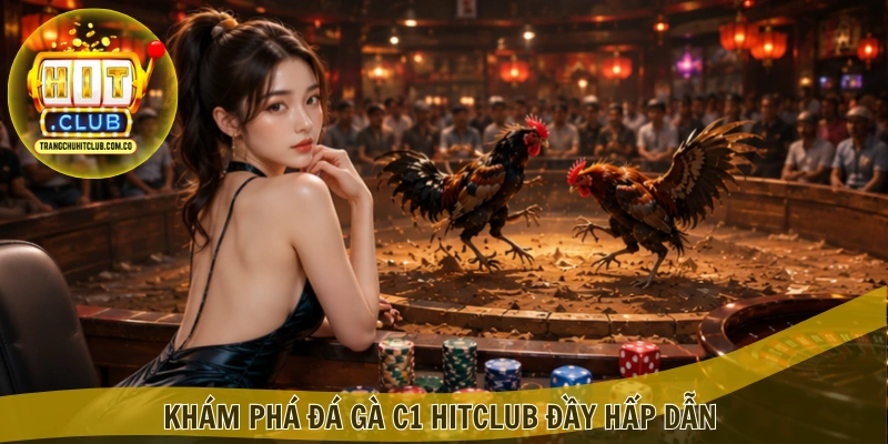 Đá gà C1 HITCLUB – Theo dõi trận đấu đỉnh cao tại HITCLUB 2 Khám phá Đá gà C1 HITCLUB đầy hấp dẫn