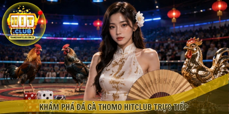 Đá gà Thomo HITCLUB – Trải Nghiệm Trận Đấu Hấp Dẫn 2 Khám phá Đá gà Thomo HITCLUB trực tiếp