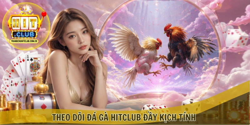 Theo dõi Đá gà HITCLUB đầy kịch tính