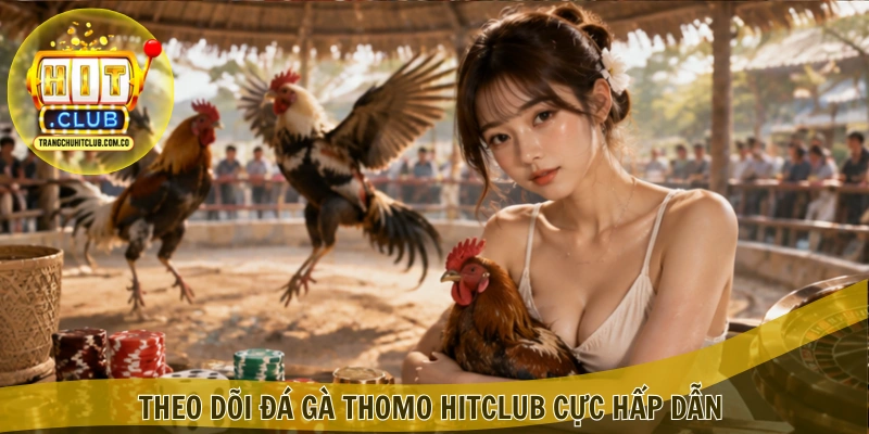 Đá gà Thomo HITCLUB – Trải Nghiệm Trận Đấu Hấp Dẫn 4 Theo dõi Đá gà Thomo HITCLUB cực hấp dẫn