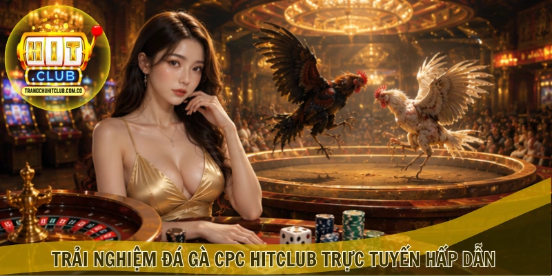 Đá gà CPC HITCLUB – Trải nghiệm kèo đấu hấp dẫn 4 Trải nghiệm Đá gà CPC HITCLUB trực tuyến hấp dẫn